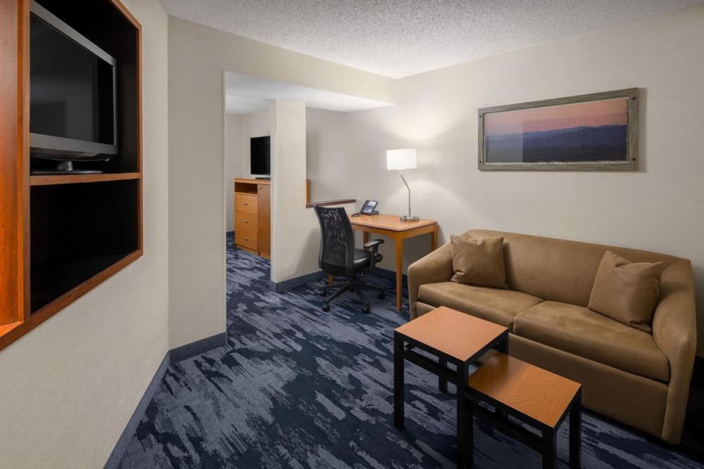 Studio, Suite, 1 King, Sofa bed interior